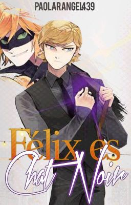 Félix es Chat Noir [Miraculous Ladybug PV Oneshot]