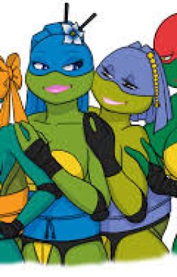 Fem TMNT X Male reader