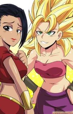 Female DB Series Characters x Female Saiyan Reader 