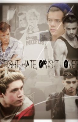 Fight, Hate, or is it love? - Niam Horayne / Larry Stylinson