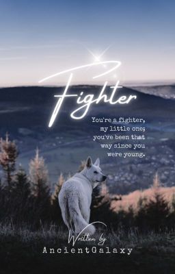 Fighter