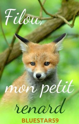 Filou, mon petit renard