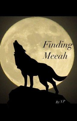 Finding Meeah.