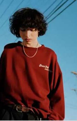 Finn Wolfhard X Reader 