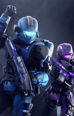 Fireteam Striker, a Halo Saga