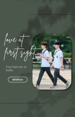 first sight | binhao