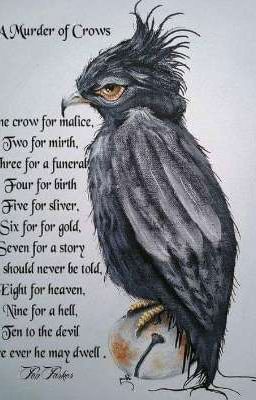 Flash Fiction 
