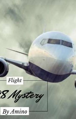 FLIGHT 828 MYSTERY