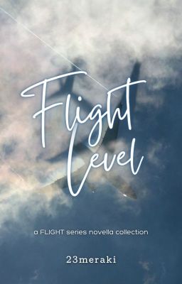 Flight Level (FLIGHT series collection)