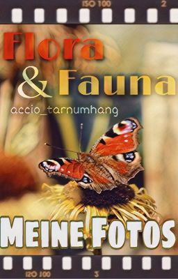 Flora & Fauna | Fotobuch