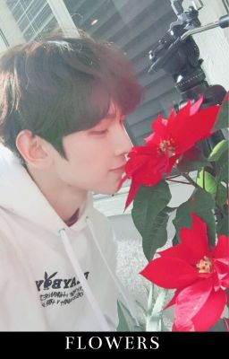 Flowers || seongsang ✔️