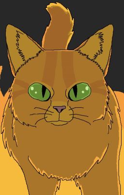 FlR3's Warrior Cats Name Generator (Officially Dead)