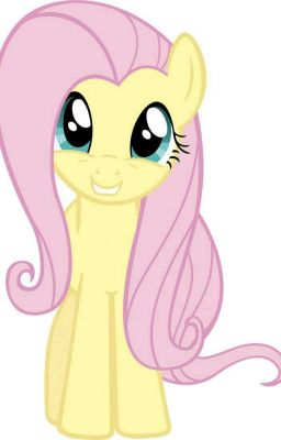 Fluttershy & Bashful