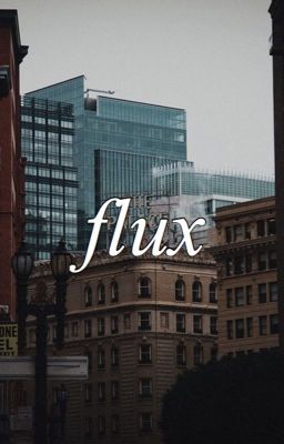 flux || h.s.