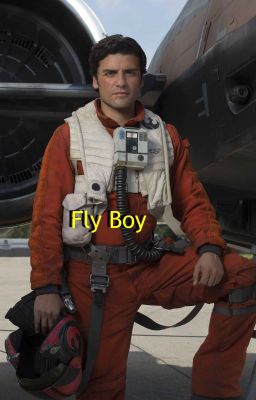 Fly Boy (Poe Dameron X reader)