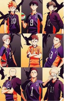 Fly! Karasuno