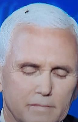 fly x pence