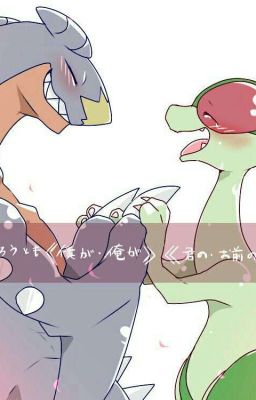 flygon x garchom amor de dragones 