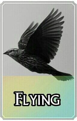 Flying (One Direction/Divergent ff)