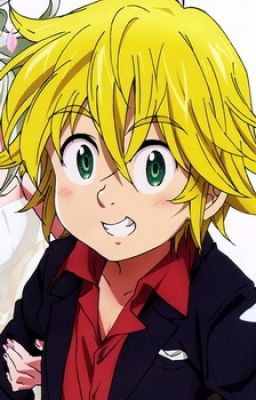 For her, I'd do anything (meliodas x reader) *slow updates*