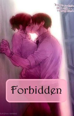 Forbidden {LeviHan Story}