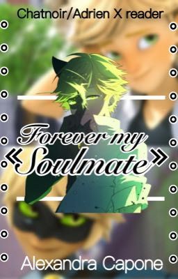 Forever My Soulmate (Chat Noir/Adrien X reader)