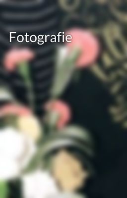 Fotografie