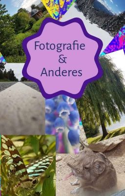 Fotografie & Anderes