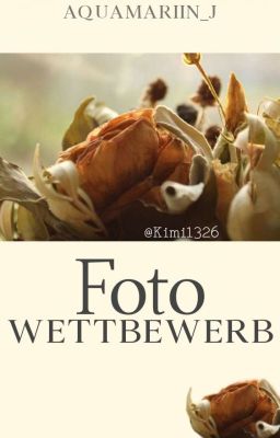 Fotowettbewerb ✔