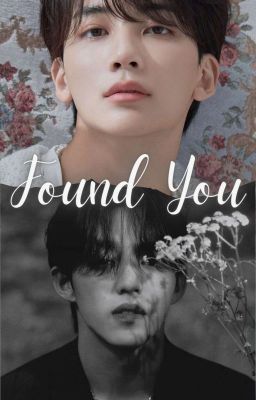 FOUND YOU | SVT | Jeongcheol [✓]