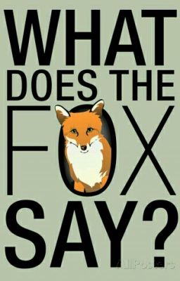 Fox means all the way