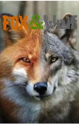 Fox & Wolf