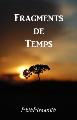 Fragments de Temps