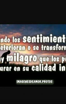 FRASES