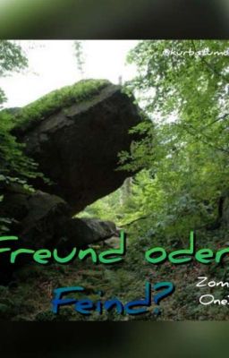 Freund oder Feind? |Zomdado OneShot 