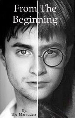 From The Beginning (Harry Potter FF)