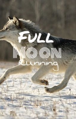 Full Moon Running