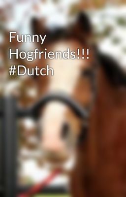 Funny Hogfriends!!! #Dutch