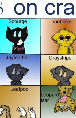 Funny warrior cat memes!