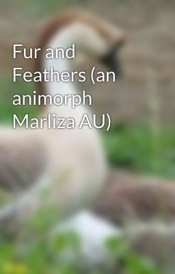 Fur and Feathers (an animorph Marliza AU)