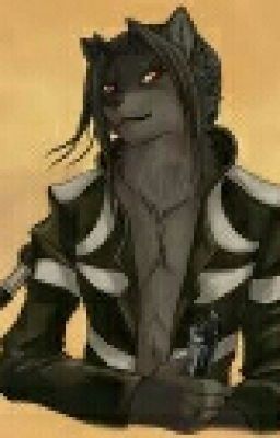 Furry Assasin Guild RP