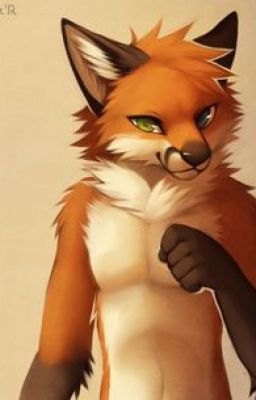 Furry rp