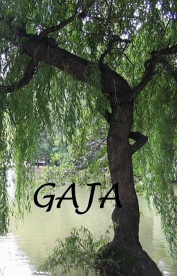 Gaja