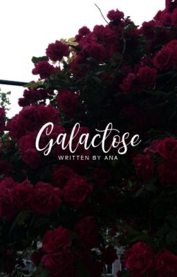 GALACTOSE | n.y ✓