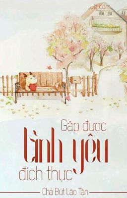 Gặp Được Tình Yêu Đích Thực(full)