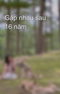 Gặp nhau sau 16 năm