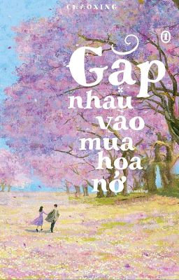 Gặp Nhau Vào Mùa Hoa Nở