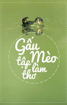 Gấu Mèo tập làm thơ