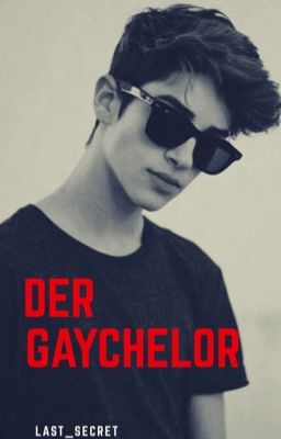 Gaychelor Rpg