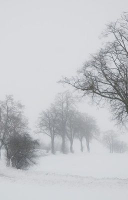 [GBF][SiegAglo] Schneetreiben